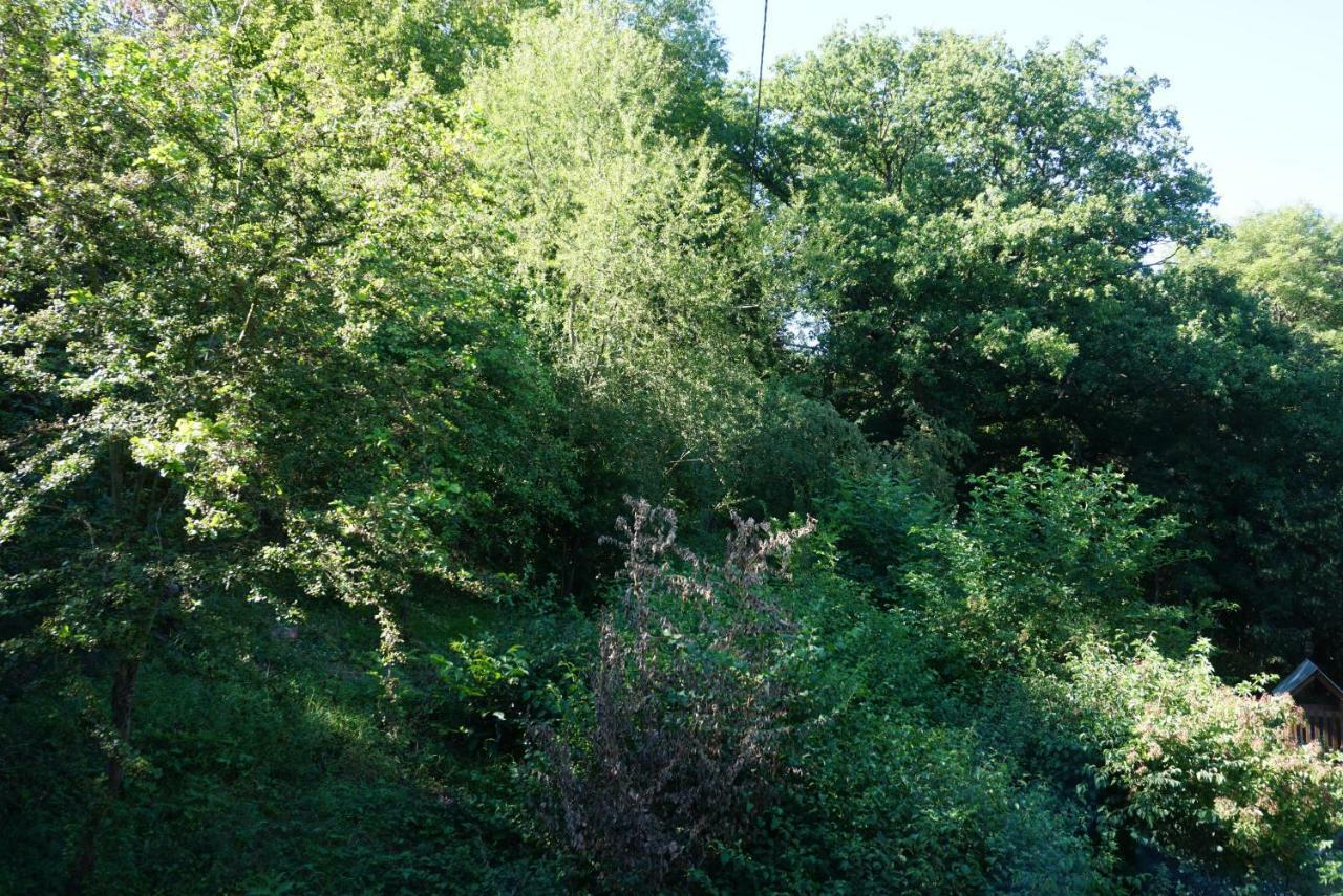 Gruene Oase Apartman Hargesheim Kültér fotó
